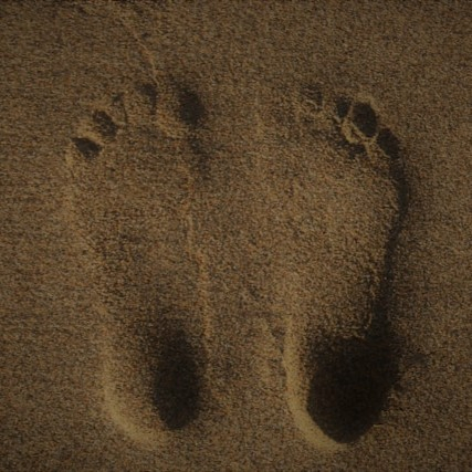 טביעות רגליים בחול